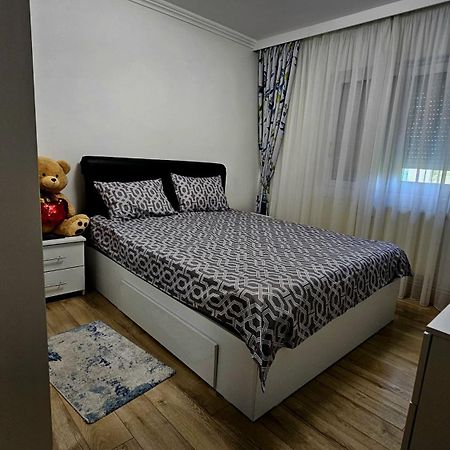 Rose Residence Buzău Exteriér fotografie